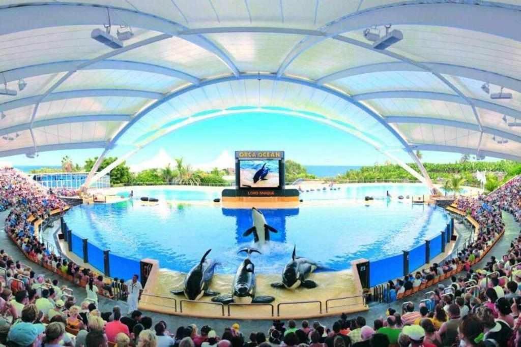 プエルト・デ・ラ・クルスVistas Al Teide II Piscina Climatizadaアパートメント エクステリア 写真